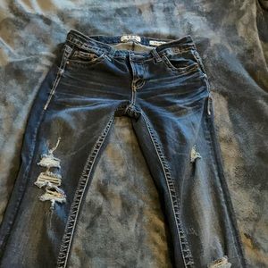 Daytrip Lynx Skinny Jeans